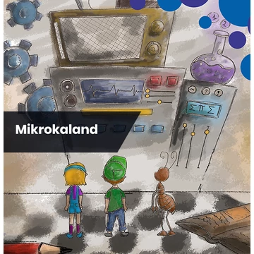 Mikrokaland - logikai kalandjáték